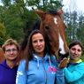 Open doe en beleef dag op de paardenboerderij